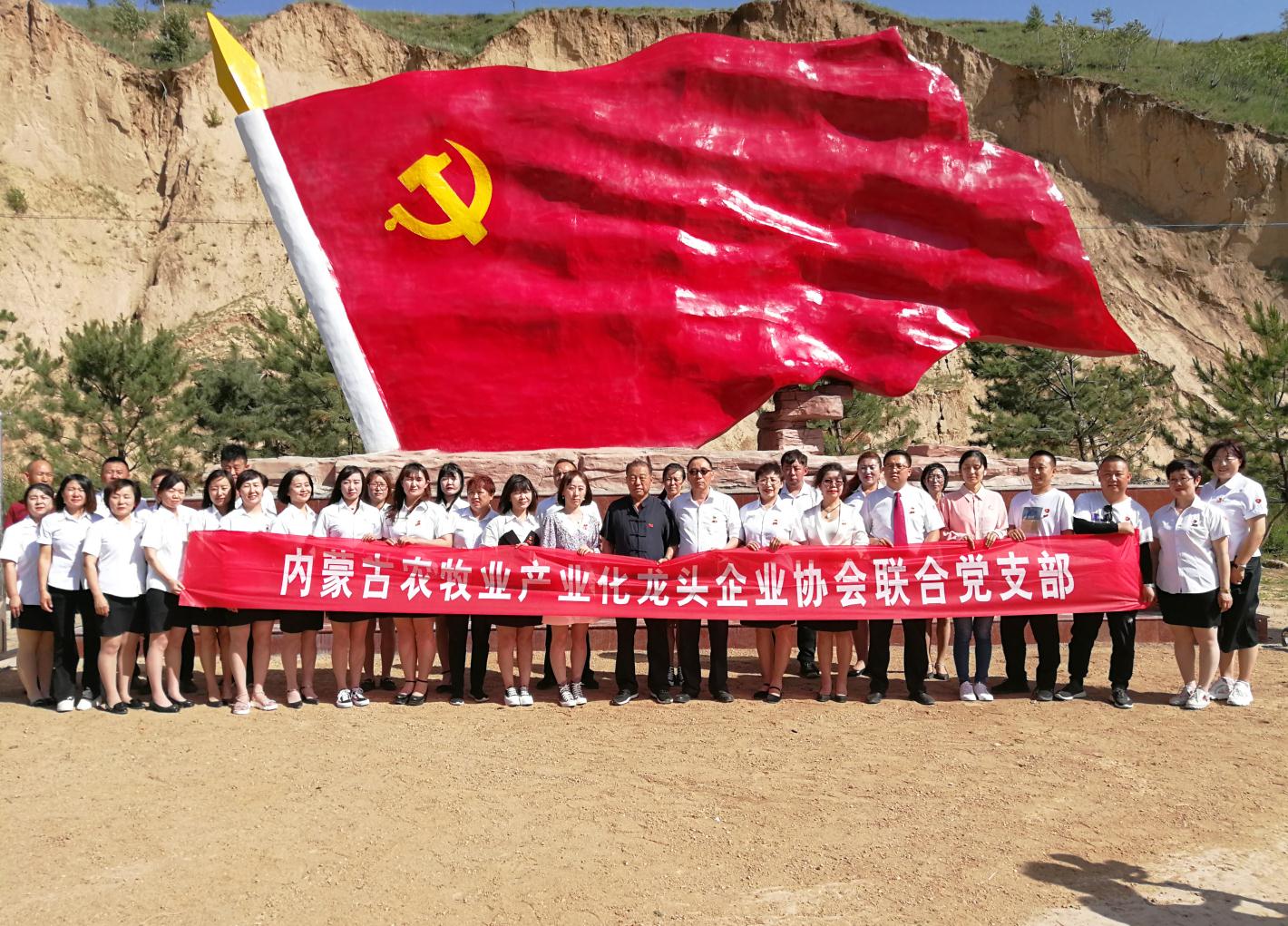 內(nèi)蒙古農(nóng)牧業(yè)產(chǎn)業(yè)化龍頭企業(yè)協(xié)會走進石人灣村開展“辦實事、解難題，送溫暖，傳黨恩”公益活動